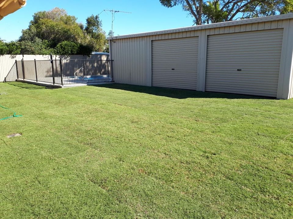 Nullarbor Couch Twin View Turf Producer of Australia’s Best Lawns Twin View Turf Sir