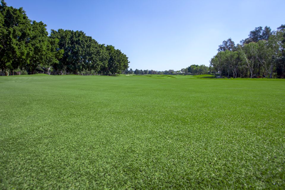 Golf Course Projects by Twin View Turf Producer of Australia’s Best