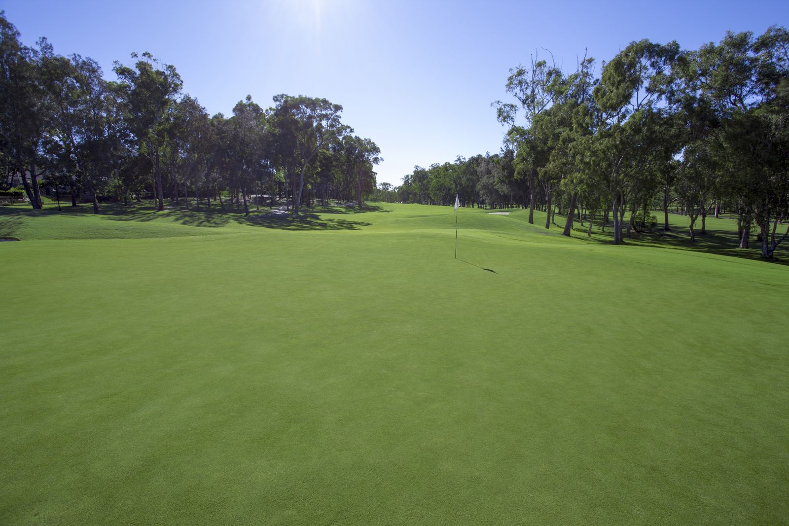 Golf Course Projects by Twin View Turf Producer of Australia’s Best