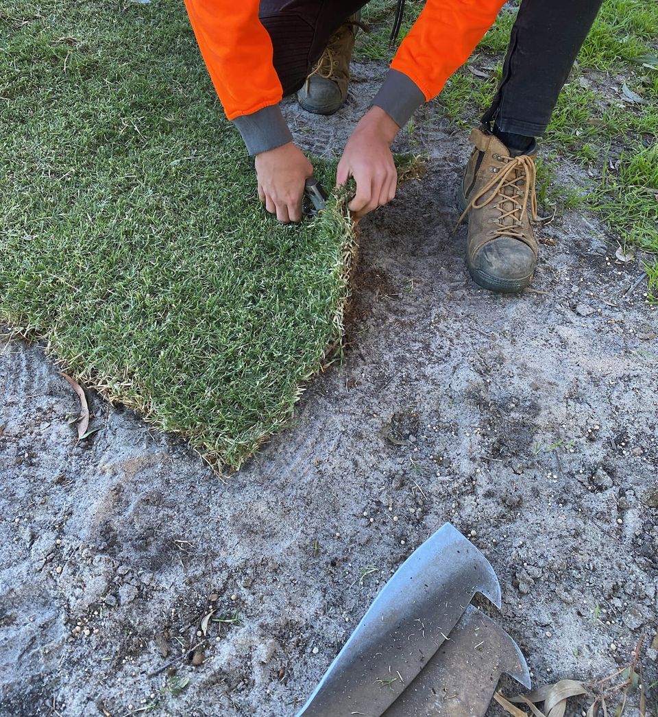 Stanley Day Park - Twin View Turf - Producer of Australia’s Best Lawns ...